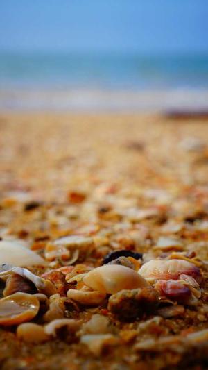 51吃瓜网站朝阳热心截图1